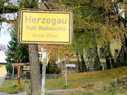 Ferienwohnung Schoenblick Waldmuenchen Ngoại thất bức ảnh